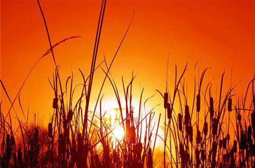 励志的句子接地气