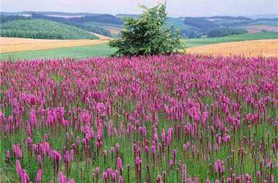 ​人生经典名言84句