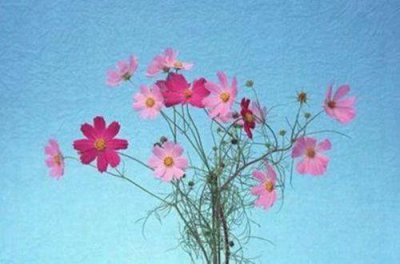 ​经典人生格言100句