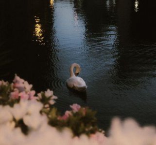 ​qq爱情性签名男士100句