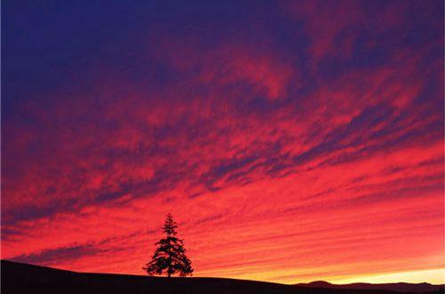 励志鸡汤语录 女人最好的状态语录