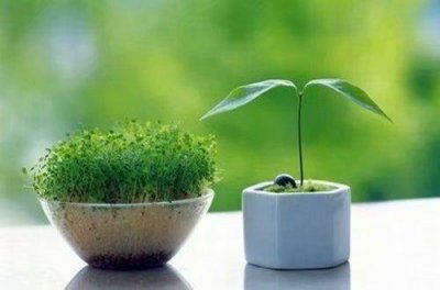 ​2025年粗茶淡饭的唯美句子