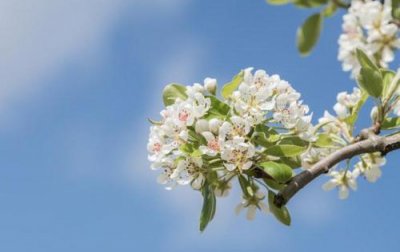 ​甜到炸的高级情话 简短的高级情话文案(58句)