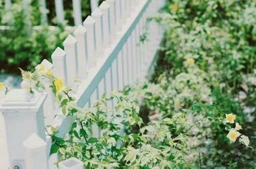 情侣低调撒狗粮句子 抖音很火的情话句子