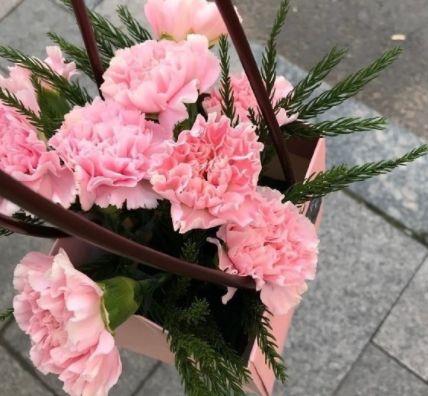 关于十一月正能量励志句子