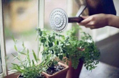 ​鼓舞所有人的励志哲理文字 充满希望的正能量句子