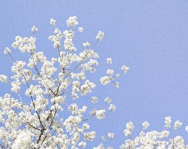 ​霸气又温柔的表白句子合集69句