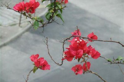 ​简洁的形容伤心的句子摘录35条