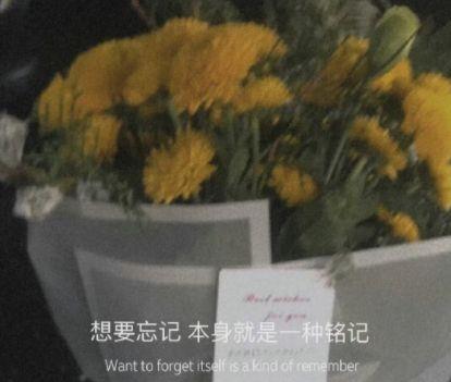 空间留言的优美句子