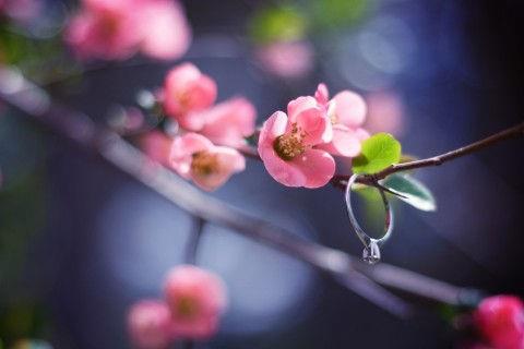 骂人超狠超难听的句子可以复制