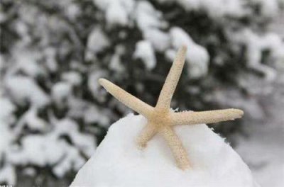 ​形容心烦火气大的句子