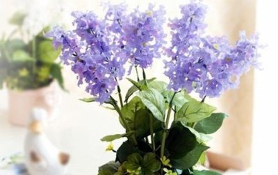 ​简短的早安正能量句子55条