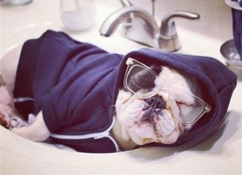 正能量微语录集锦