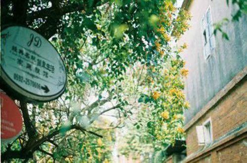 正能量的句子简短的