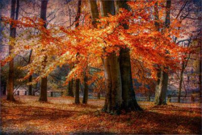 ​青春正能量好句子