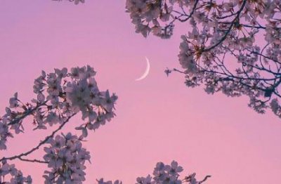 ​面对困难正能量句子