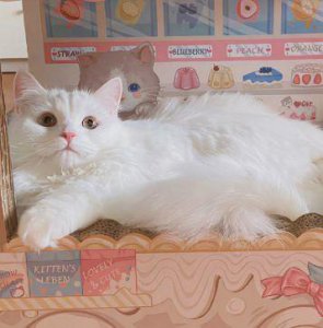 ​qq空间正能量语句57条