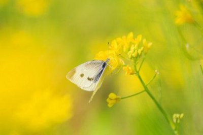 ​给男朋友超甜留言短句 发给男朋友的暖心话(精选49句)