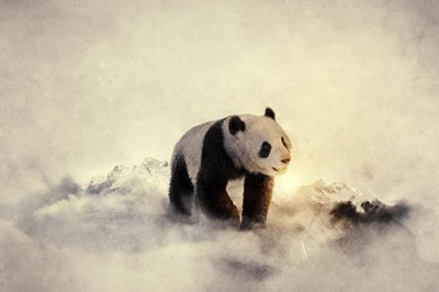 ​中秋节说说心情短语84句
