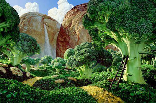 【必备】2025年爱情的情感句子集锦98条