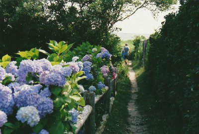 ​qq空间动态说说102句