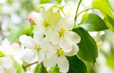 ​生活不易的句子心酸 生活不容易的句子说说心情