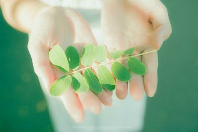 ​大格局有涵养的名句励志幽默的句子(70句)