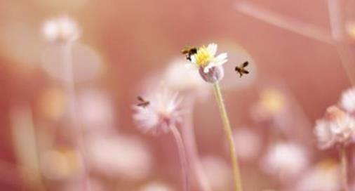 美女加励志的句子图片大全 超级励志的暖心语录