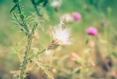 ​关于表达自己无助的说说 心累想哭好无助的说说