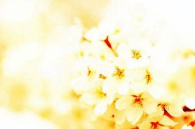 ​高中生正能量语录