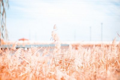 ​睡觉致自己晚安的说说