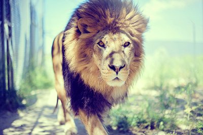 ​激励创业者的句子84句