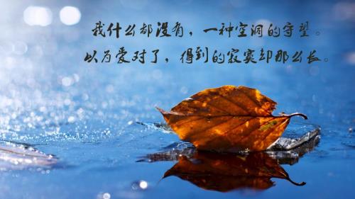 佛语心经络摘抄赏析