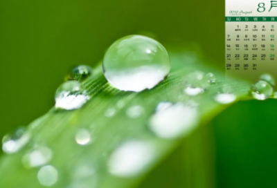 ​发朋友圈有趣的句子(优选88句)