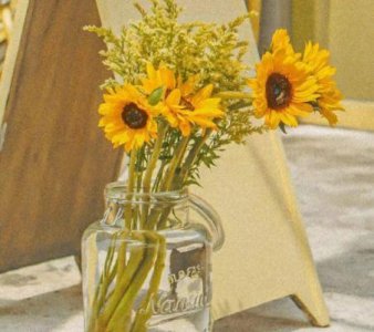 ​女人唯美励志的句子