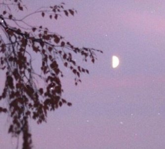 ​最能代表心情的句子83句