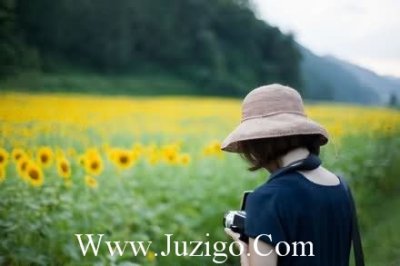 ​夏至说什么祝福语2023年夏至祝福语(精选40句)