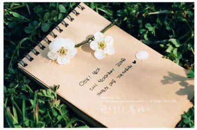 ​2025年让人感觉温柔而美好的句子(54句)