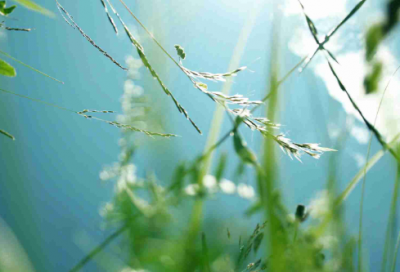 ​关于瞌睡的搞笑说说