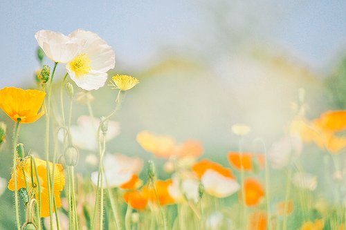 鼓励学生励志的句子83句