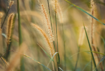 ​适合发朋友圈关于生活的句子(精选66句)