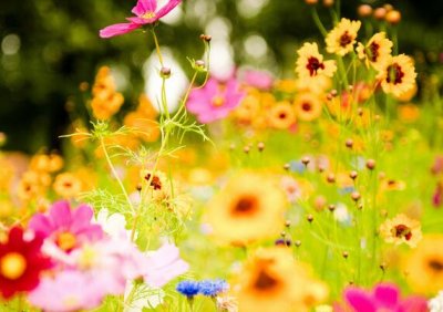 ​每日晚安心情说说