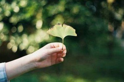 ​正能量语录集励志