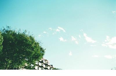 关于爱情的扎心语录