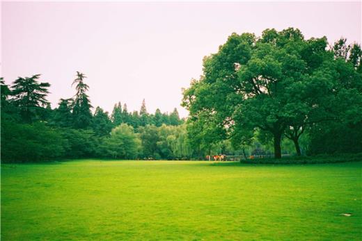 抖音说说短语霸气