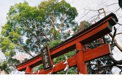 关于放暑假了的说说