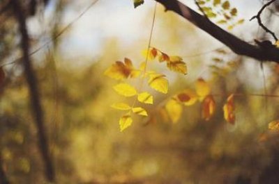 ​九月早安幽默寄语（早安暖心话短句九月）