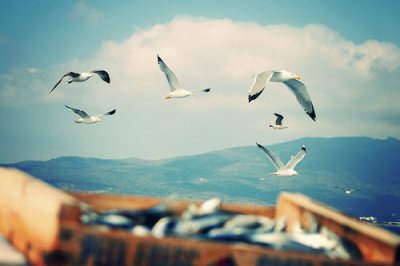 ​最新调侃语录120句