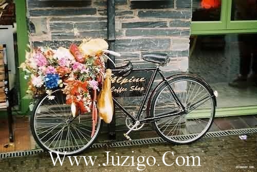 周末早安问候语简短正能量(精选27句)