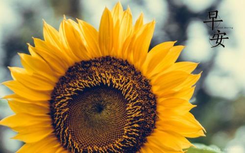 感悟人生正能量的句子